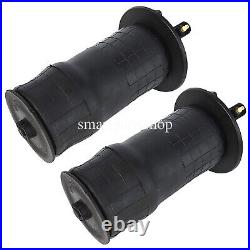 For Range Rover MK2 P38A 95-02 2Pcs Air Spring Bag Rear Left + Right RKB101460