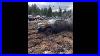 Range_Rover_P38_Offroad_01_yy